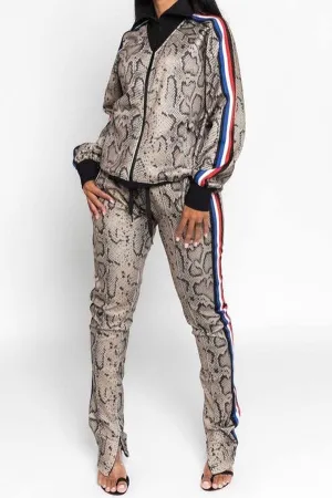 Python Tracksuit